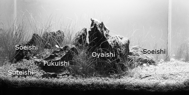 Appelation des pierres dans un iwagumi